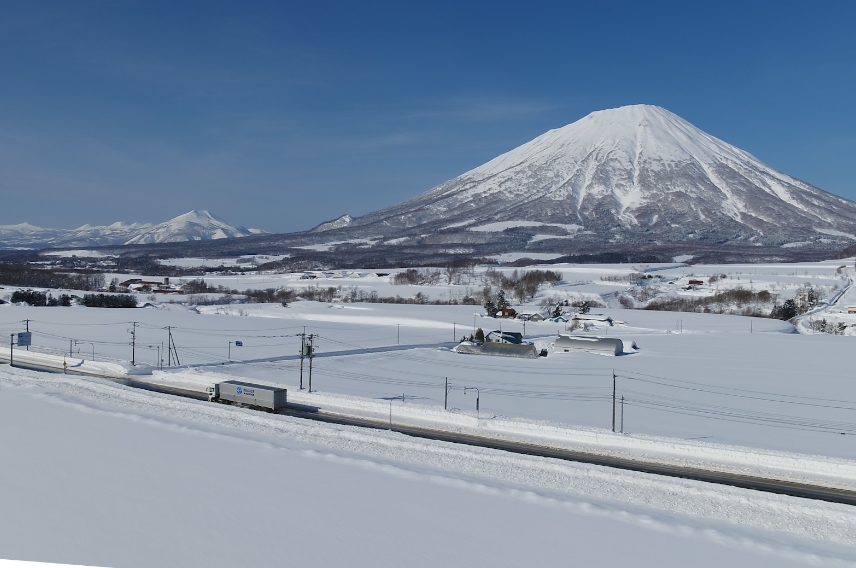 社員の声